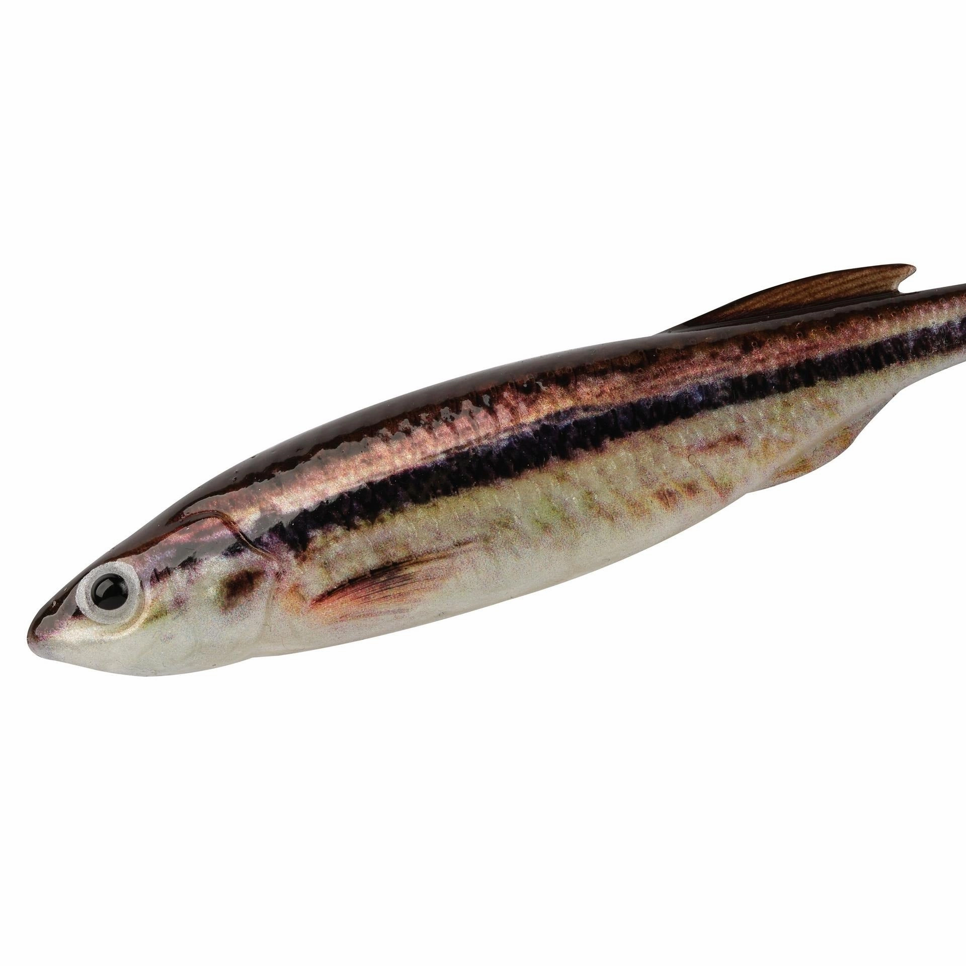 PowerBait Drip Swimmer - (4 inch)