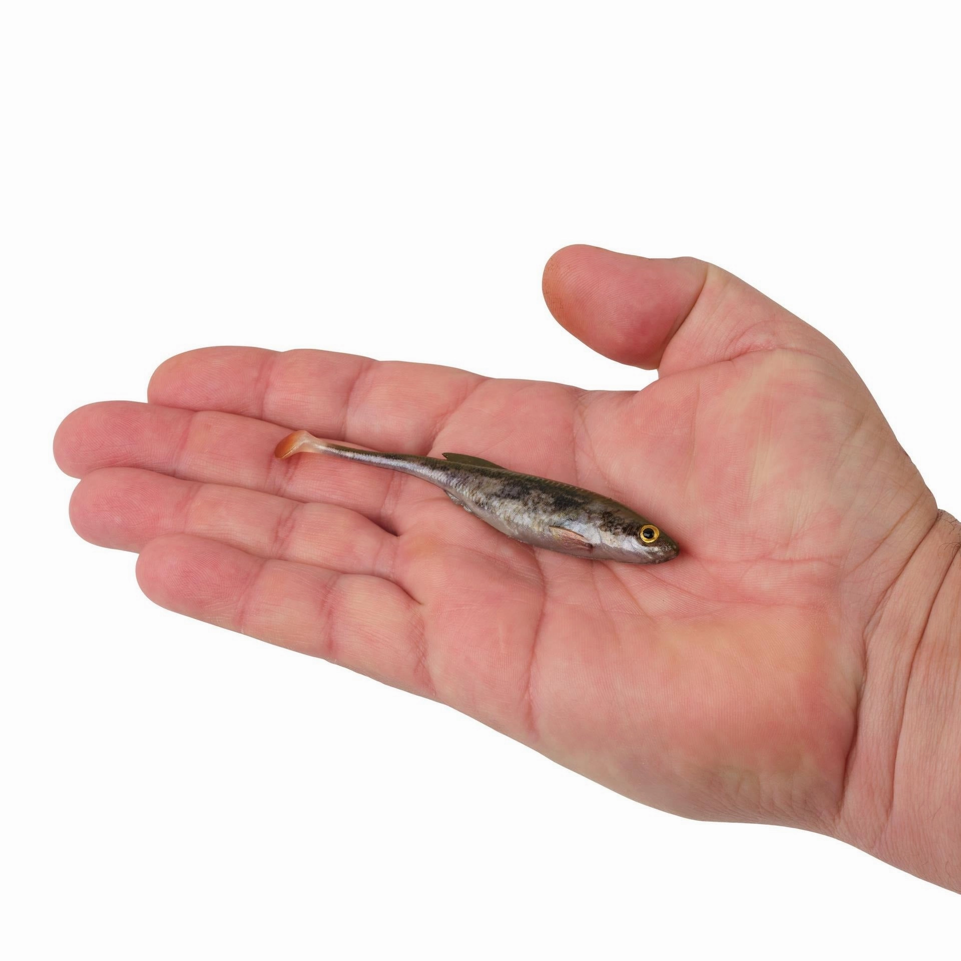 PowerBait Drip Swimmer - (4 inch)