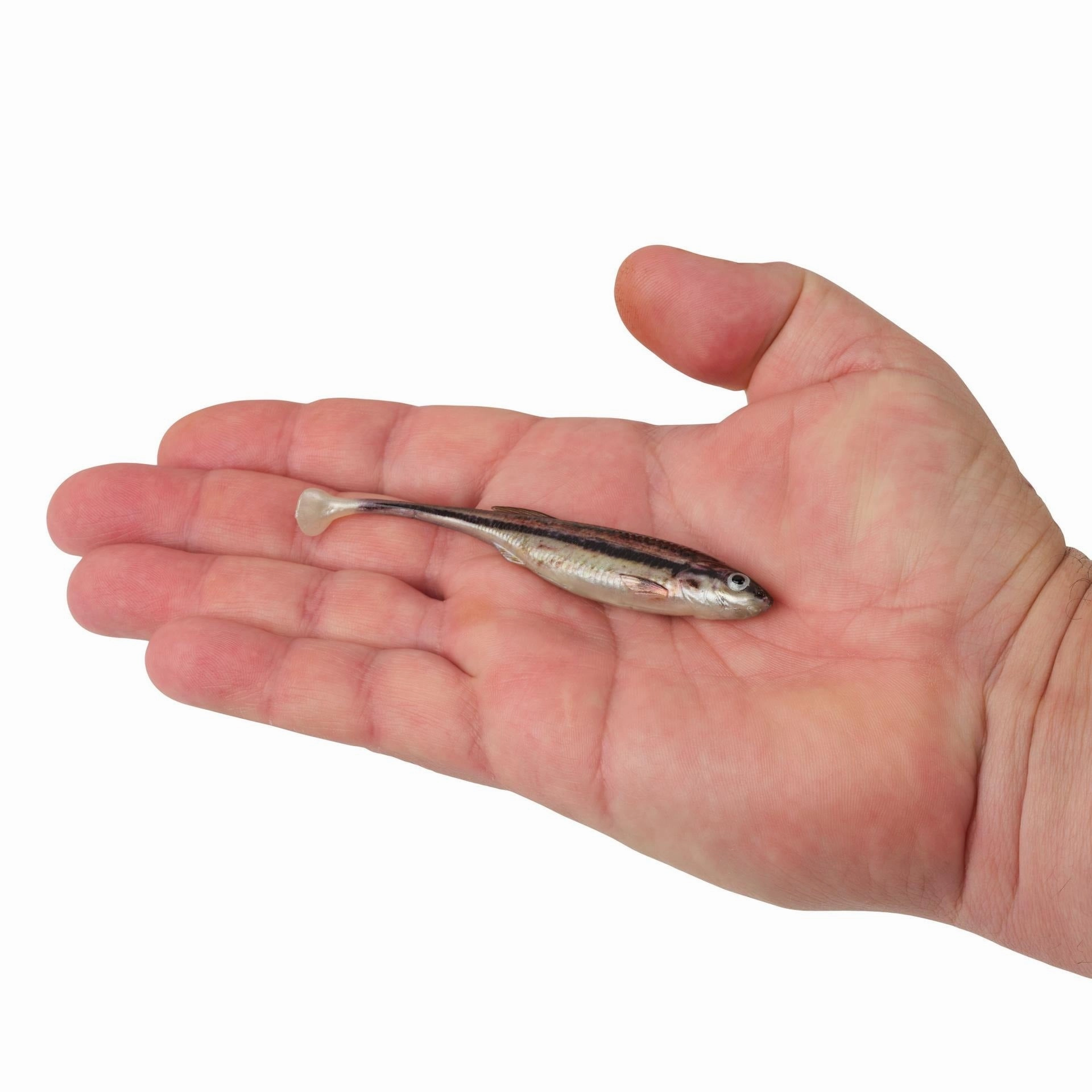 PowerBait Drip Swimmer - (4 inch)