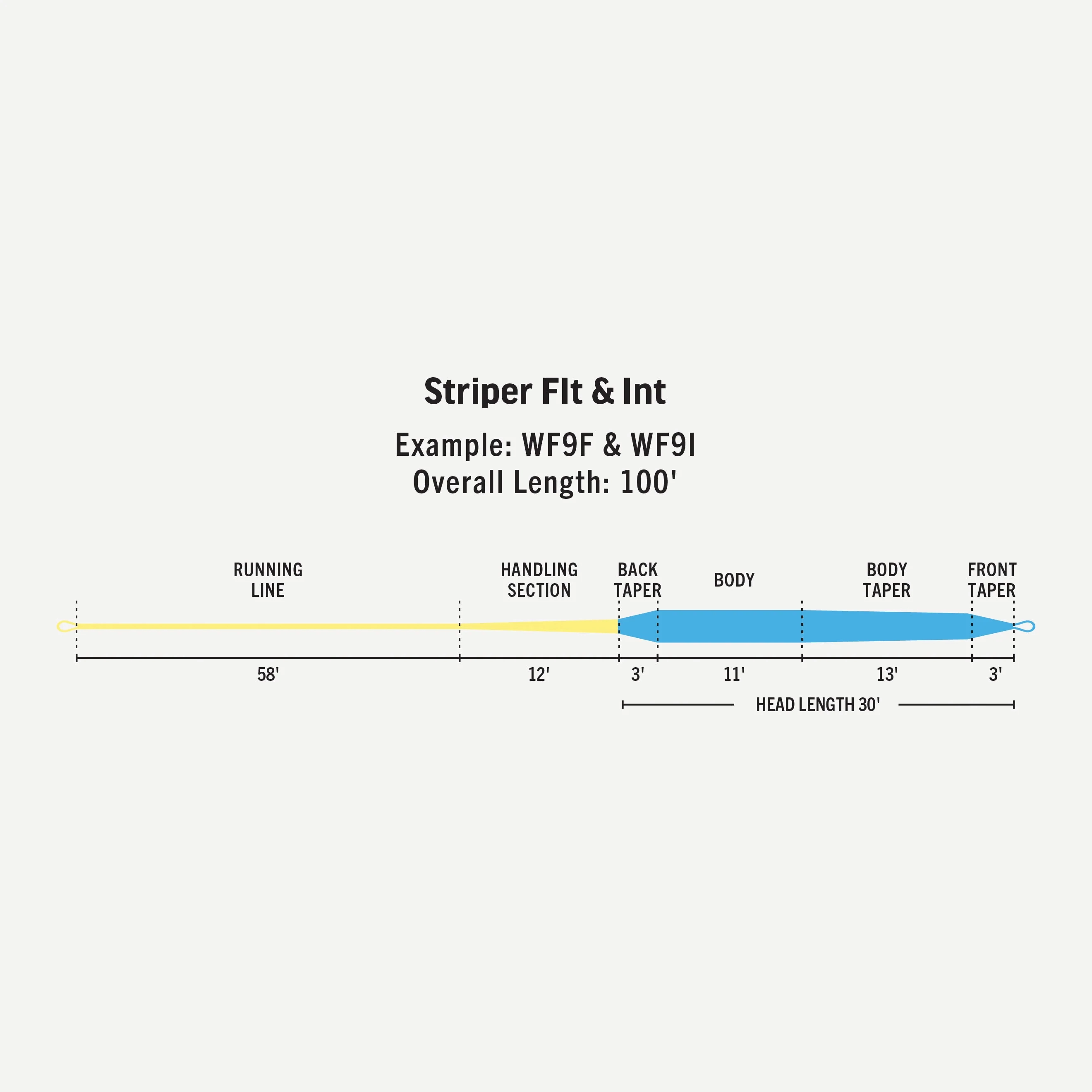Premier Striper Sink-Tip 350gr - Int/8.2ips - 9/10wt