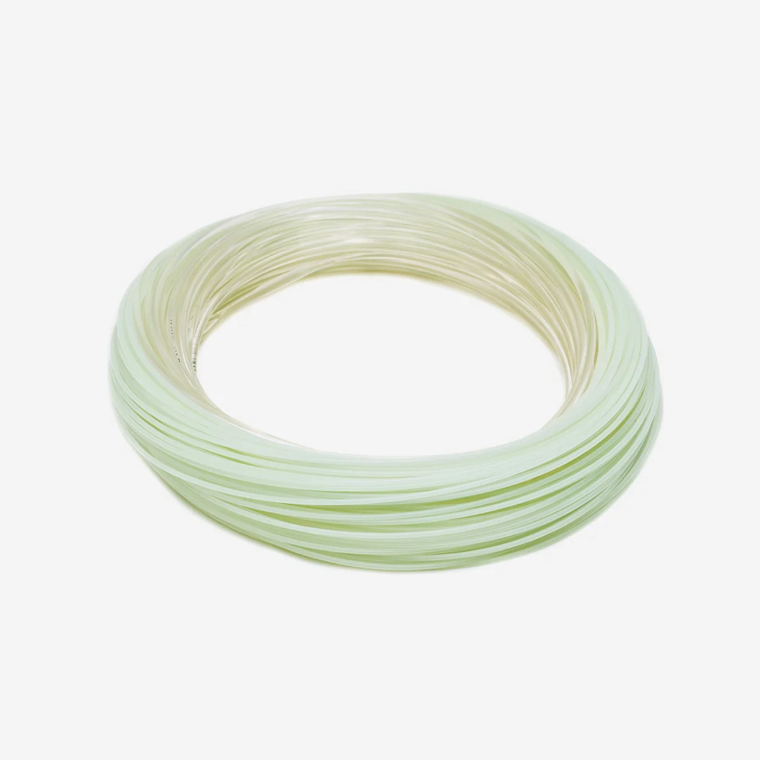 Premier Striper WF10 - Intermediate - 10wt