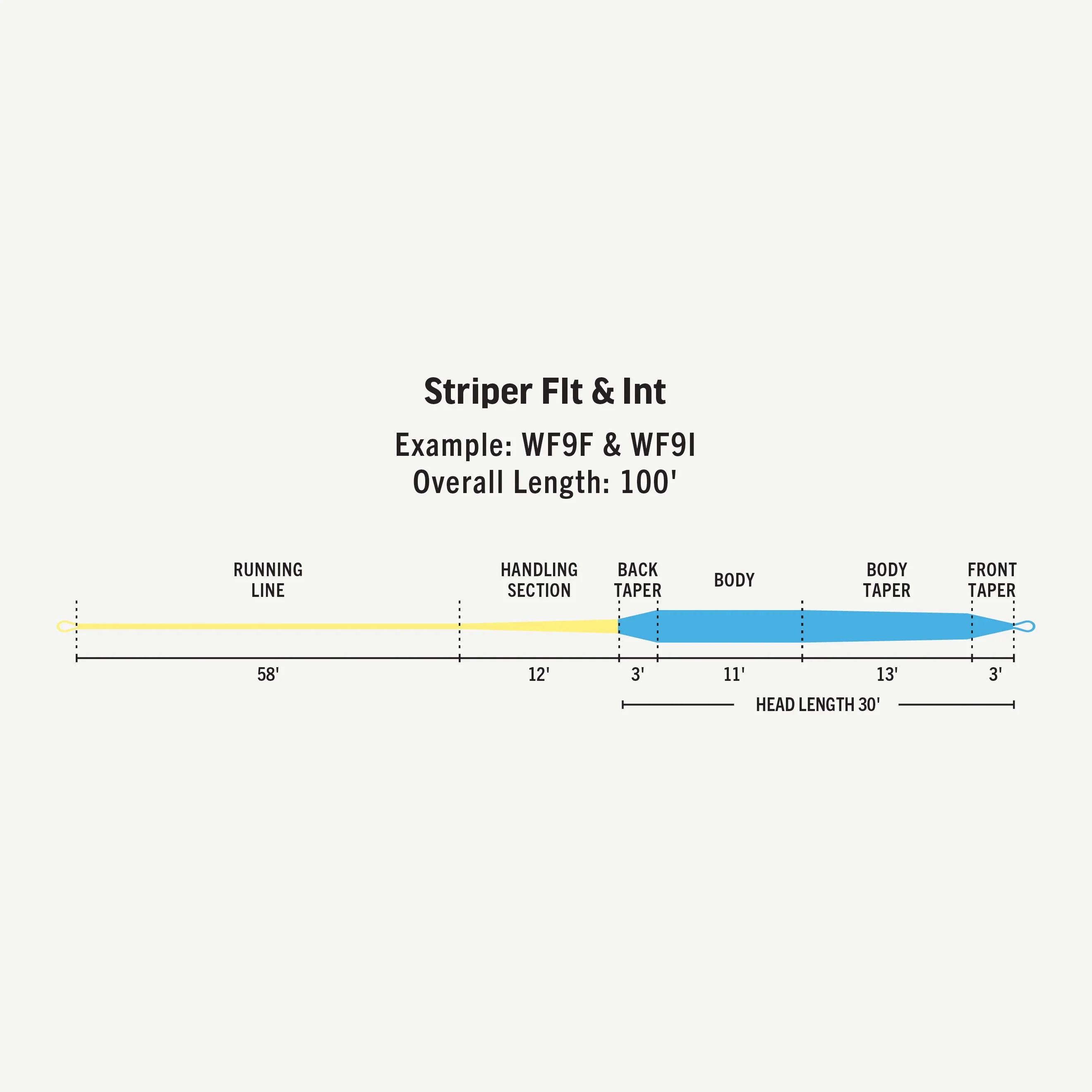 Premier Striper WF10 - Intermediate - 10wt