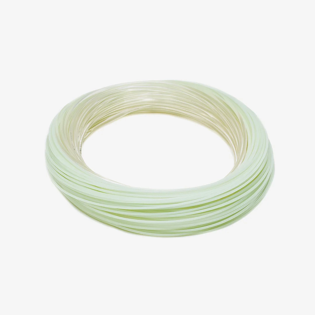 Premier Striper WF9 - Intermediate - 9wt