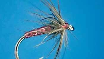 Quill Midge Starling Soft Hackle Emerger Fly Tying Kit