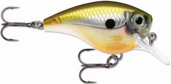 Rapala BX Brat 06 Square Bill Crankbait