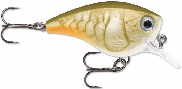 Rapala BX Brat 06 Square Bill Crankbait