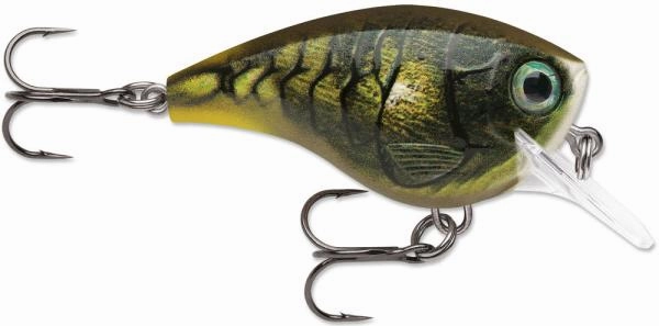 Rapala BX Brat 06 Square Bill Crankbait
