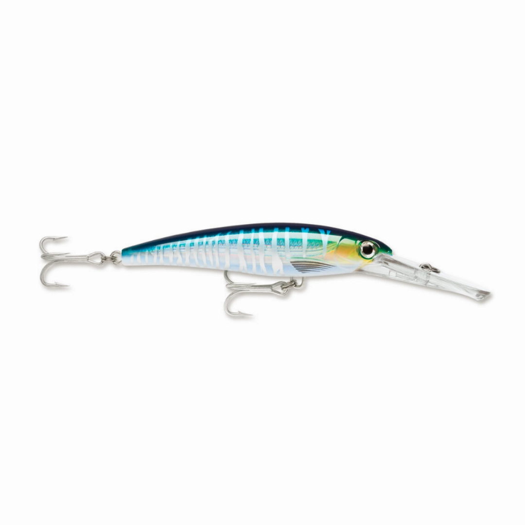 Rapala Saltwater X-Rap Magnum Divebait 15ft Hard lure | Size: 12cm |  32g