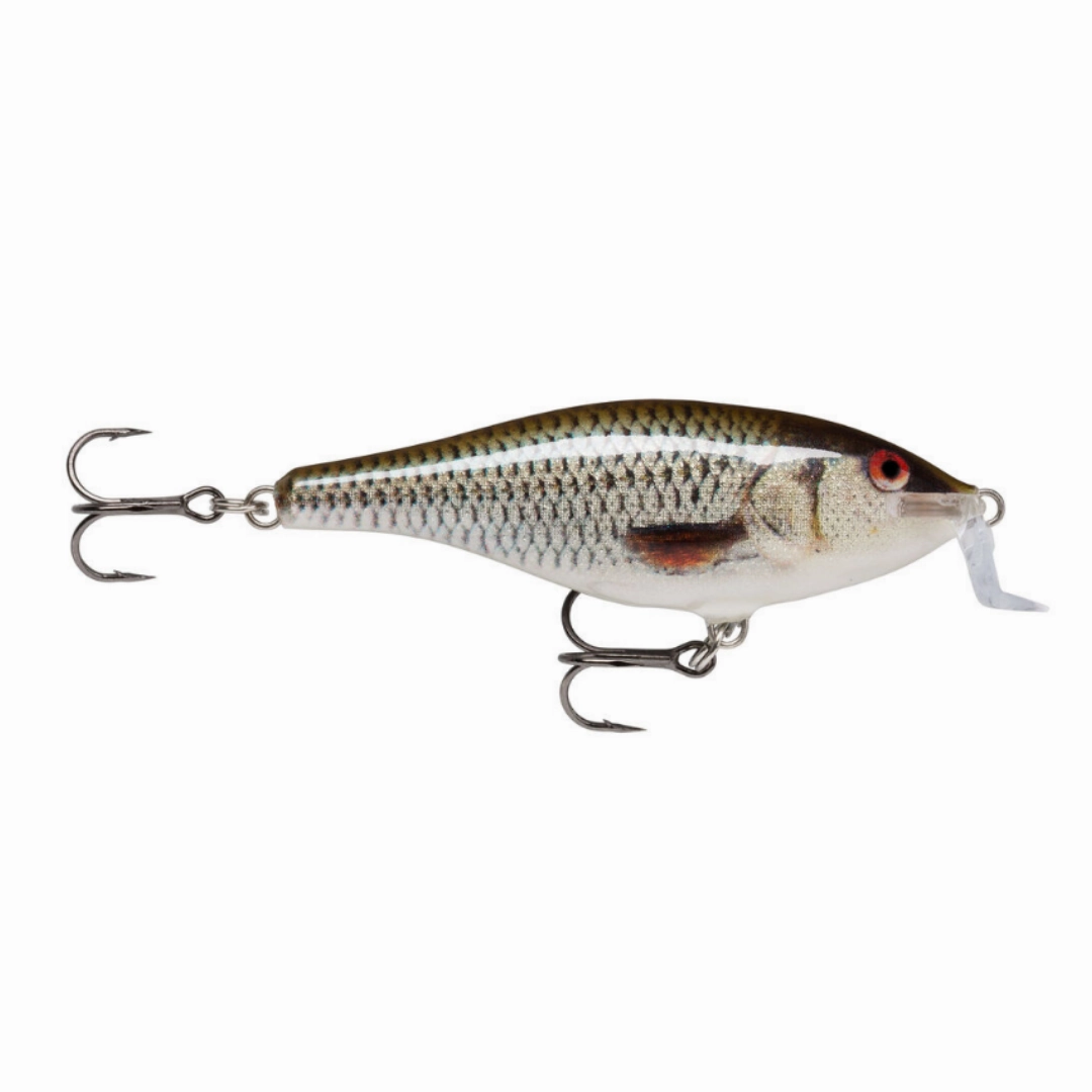 Rapala Shallow Shad Rap Crankbait | Size: 5cm | 5g