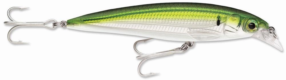Rapala SXR-10 X-Rap Saltwater Rip Bait - 4 Inch