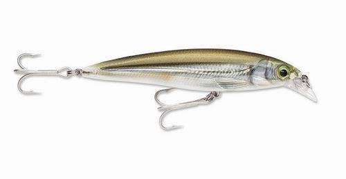 Rapala X-Rap SXR-12 Hard lure | Size: 12cm | 22g