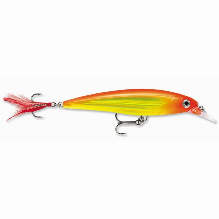 Rapala X-Rap XR10 Xtreme Action Slashbait Hard Lure | Size: 10cm | 13g
