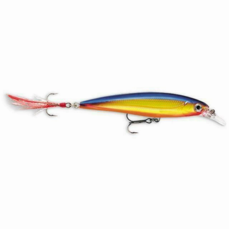Rapala X-Rap XR10 Xtreme Action Slashbait Hard Lure | Size: 10cm | 13g
