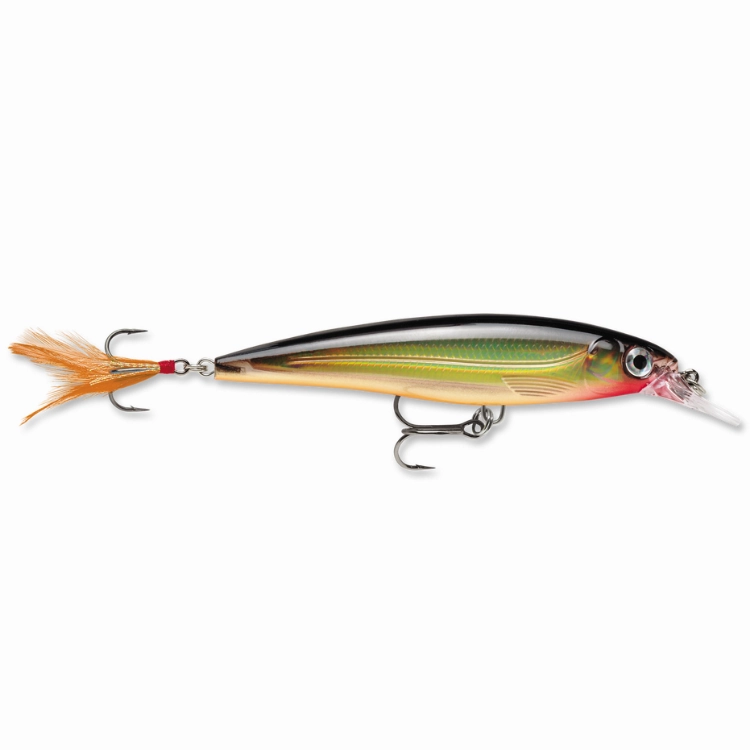 Rapala X-Rap XR10 Xtreme Action Slashbait Hard Lure | Size: 10cm | 13g