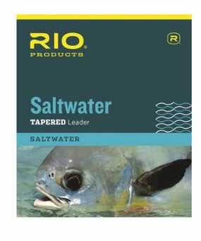 Saltwater Leader 10ft 12lb