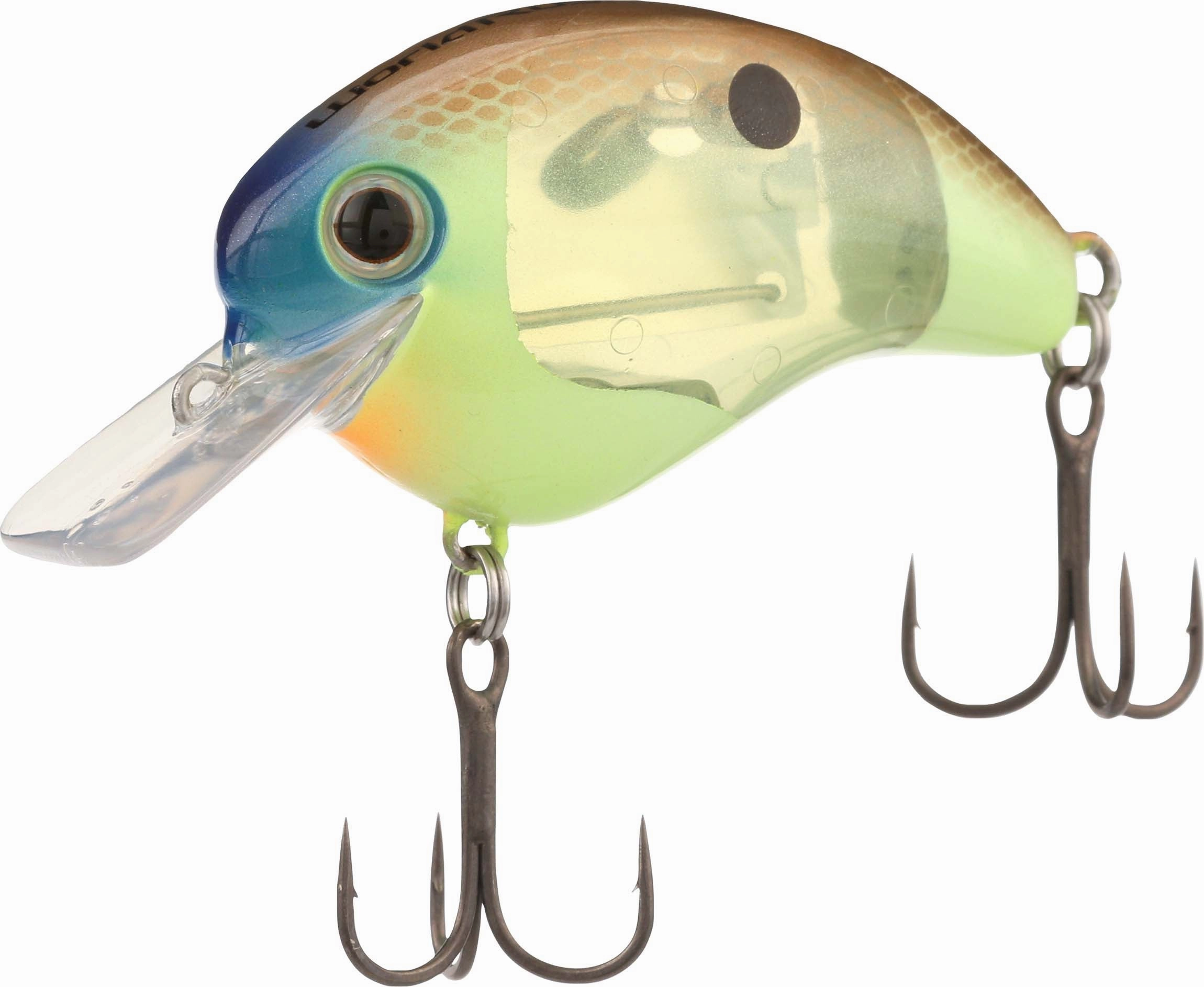 Shimano World Rush 56F Flash Boost