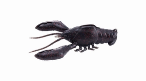 Sleeper Craw - (3 inch)