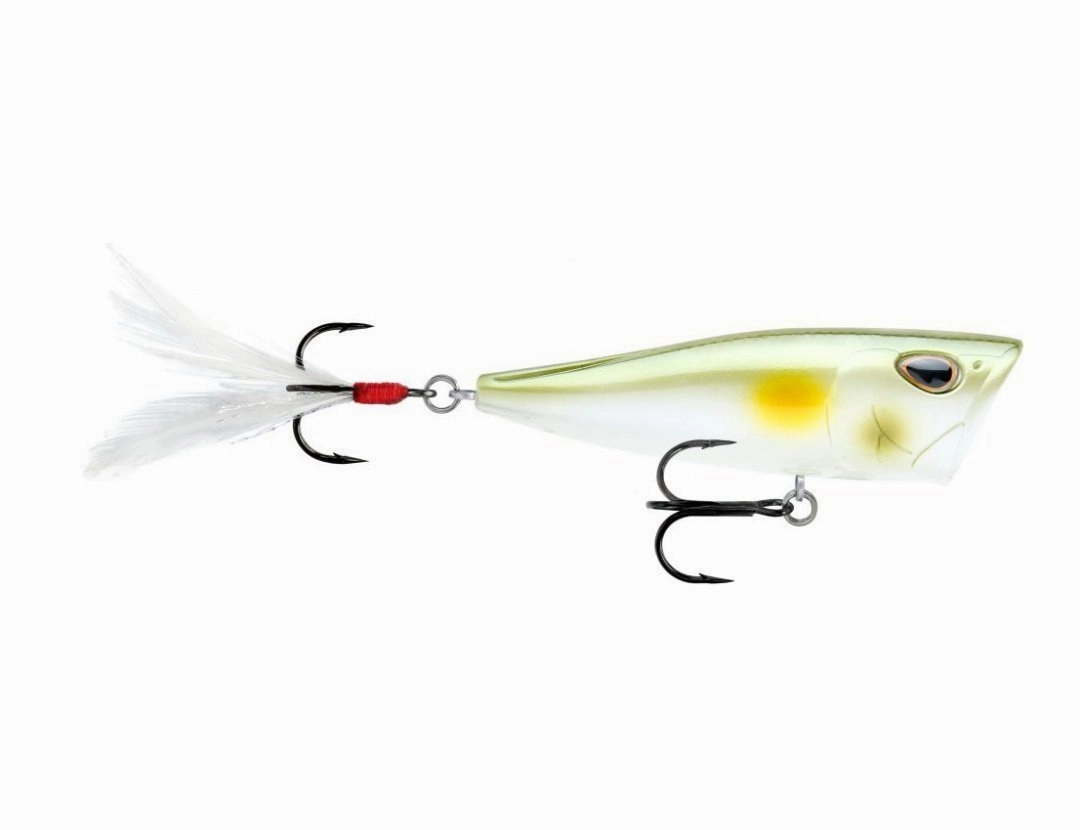 Storm Arashi Cover Pop 3 1/8 inch Topwater Popper