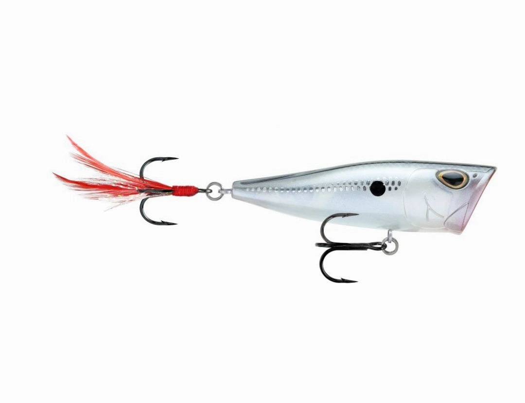 Storm Arashi Rattling Cover Pop Hard lure 8cm/14g, 1pcs/pkt popper