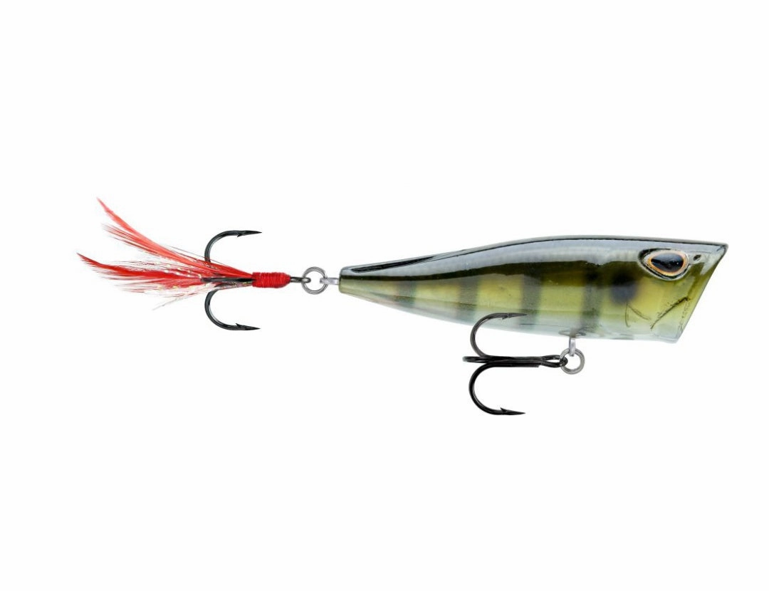 Storm Arashi Rattling Cover Pop Hard lure 8cm/14g, 1pcs/pkt popper