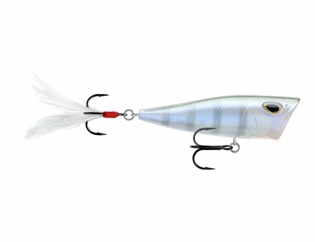Storm Arashi Rattling Cover Pop Hard lure 8cm/14g, 1pcs/pkt popper