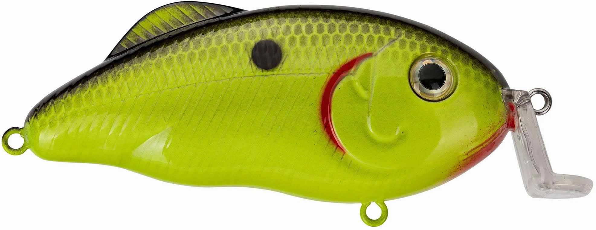 Strike King Hybrid Hunter Jr Shallow Crankbait