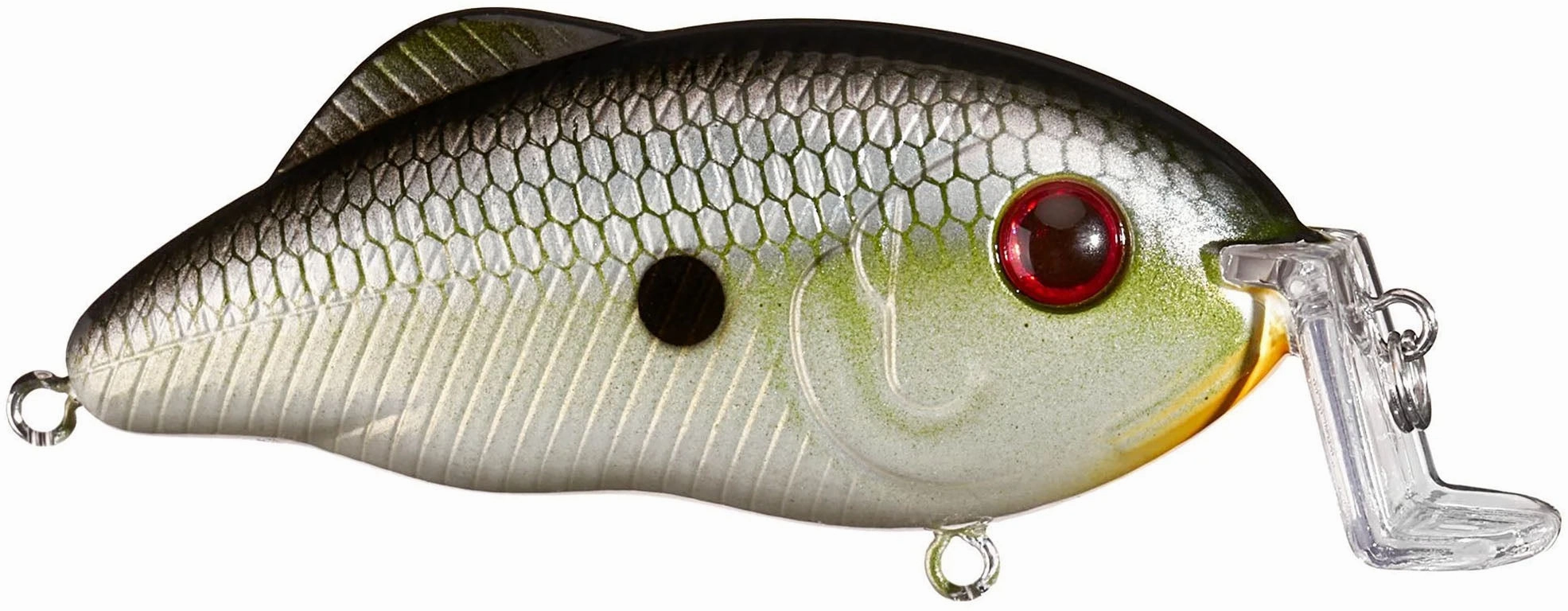 Strike King Hybrid Hunter Jr Shallow Crankbait