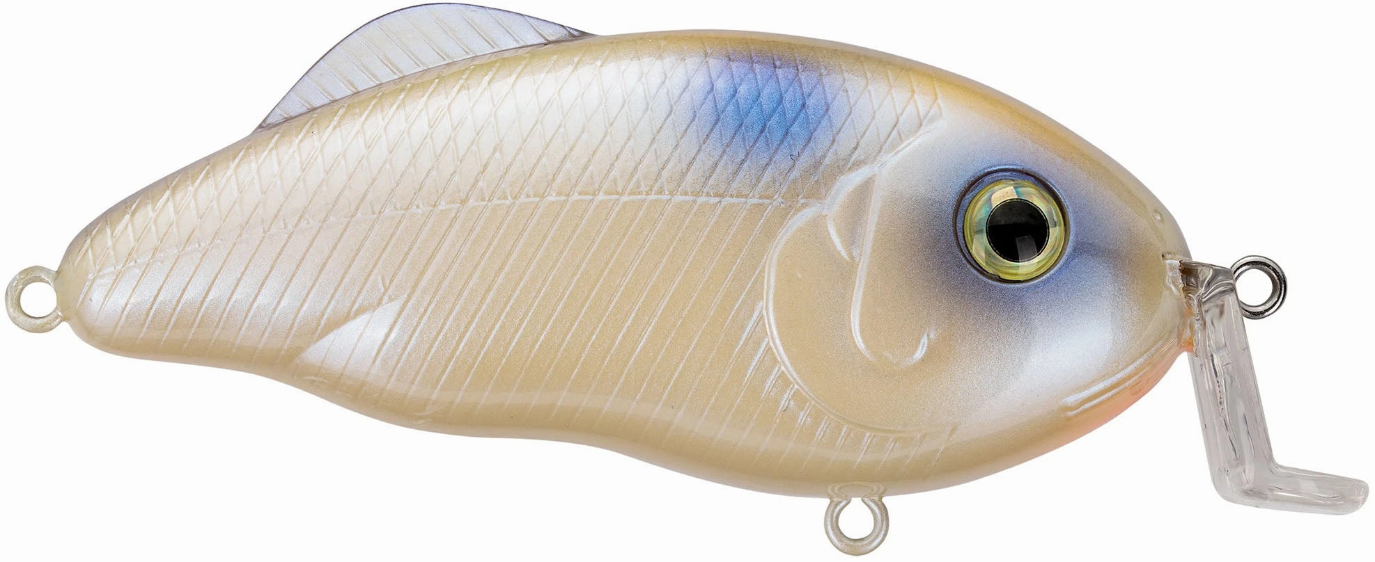 Strike King Hybrid Hunter Jr Shallow Crankbait