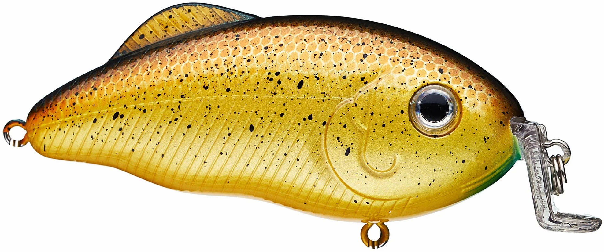 Strike King Hybrid Hunter Jr Shallow Crankbait