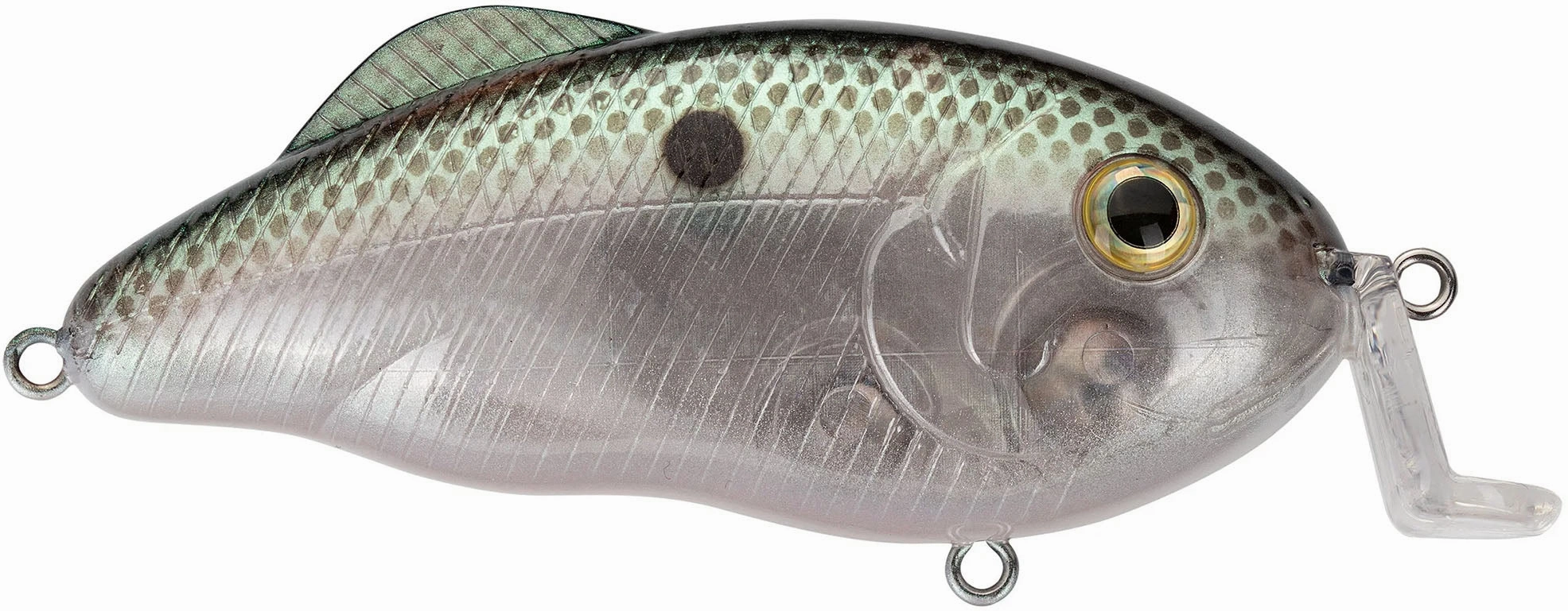 Strike King Hybrid Hunter Jr Shallow Crankbait