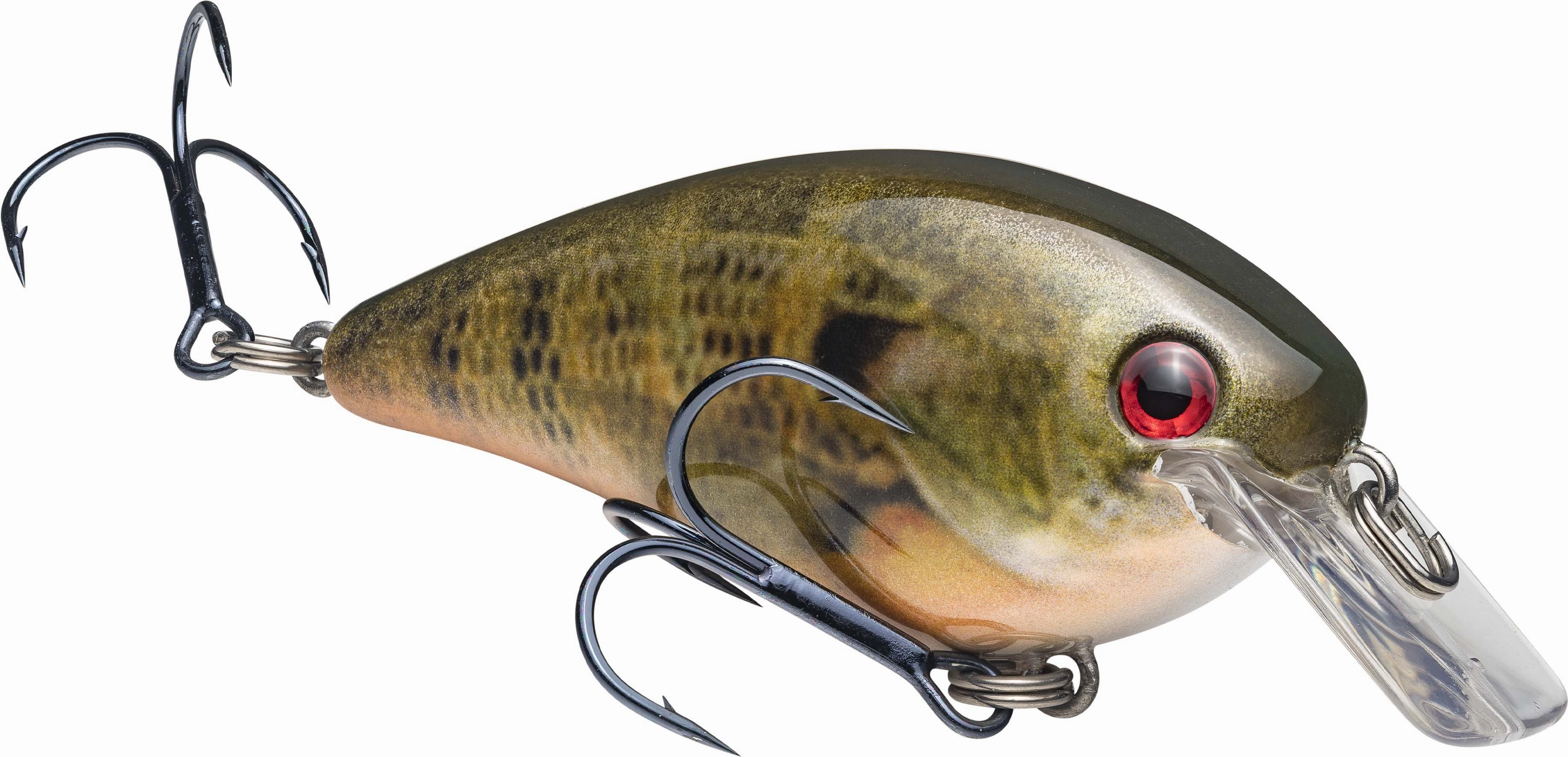 Strike King KVD Square Bill 1.0 Silent Crankbait
