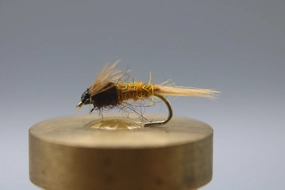 Sulphur Nymph
