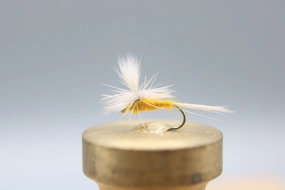 Sulphur Parachute