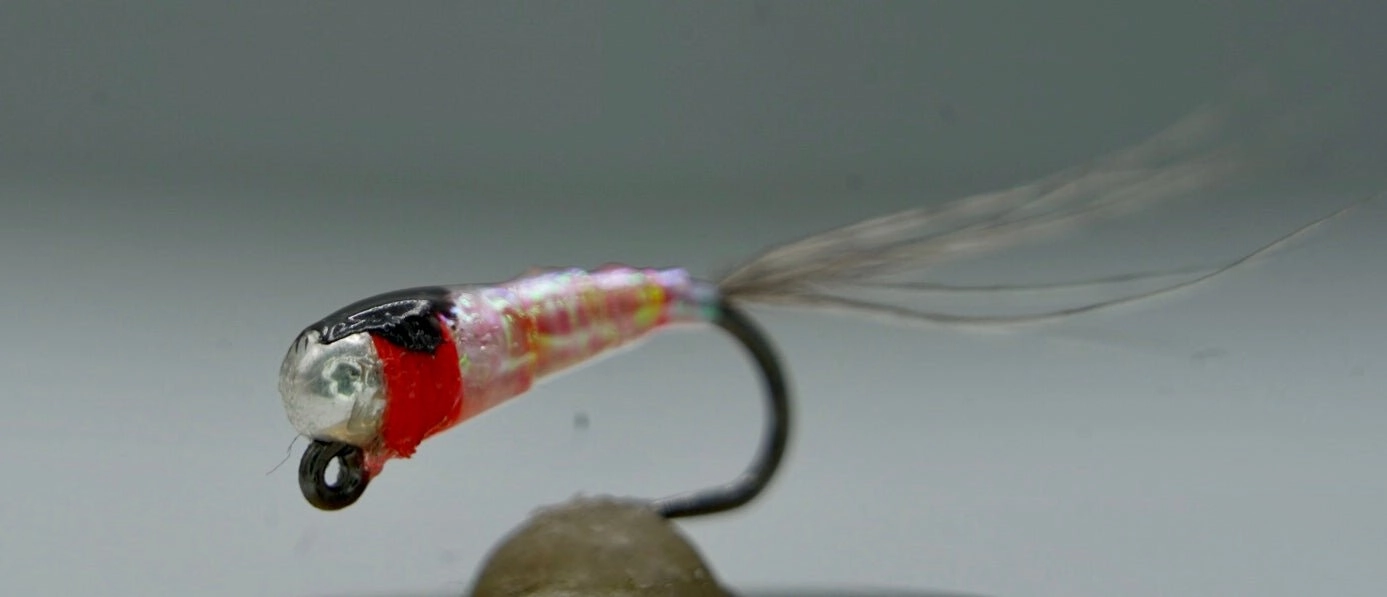 Tungsten Bead Barbless Jig Perdigon