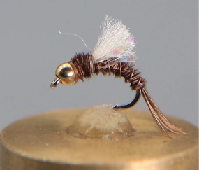 Tungsten Bead Head Pheasant Tail Emerger