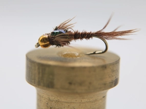Tungsten Bead Head Pheasant Tail Flashback