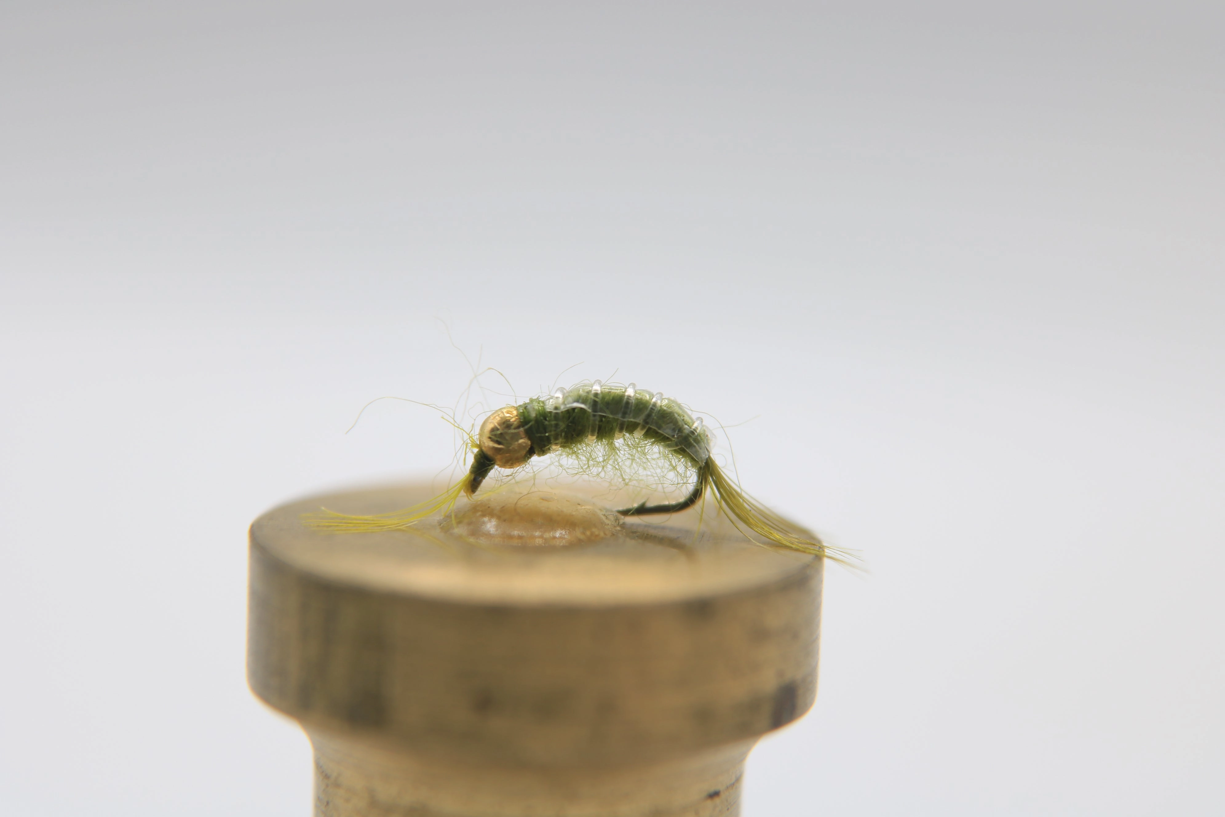 Tungsten Bead Head Scud