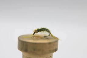 Tungsten Bead Head Scud