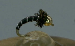 Tungsten Bead Head Zebra Midge