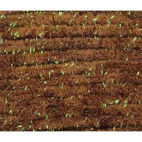 Wooly Bugger Antron Chenille - M