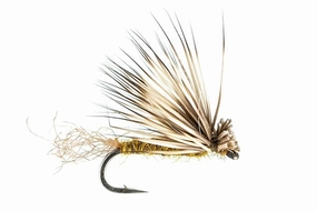 X-Caddis - (#14)