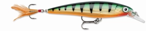 X-Rap 10 Jerkbait - (4 inch)