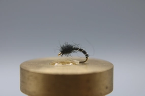 Zebra Midge