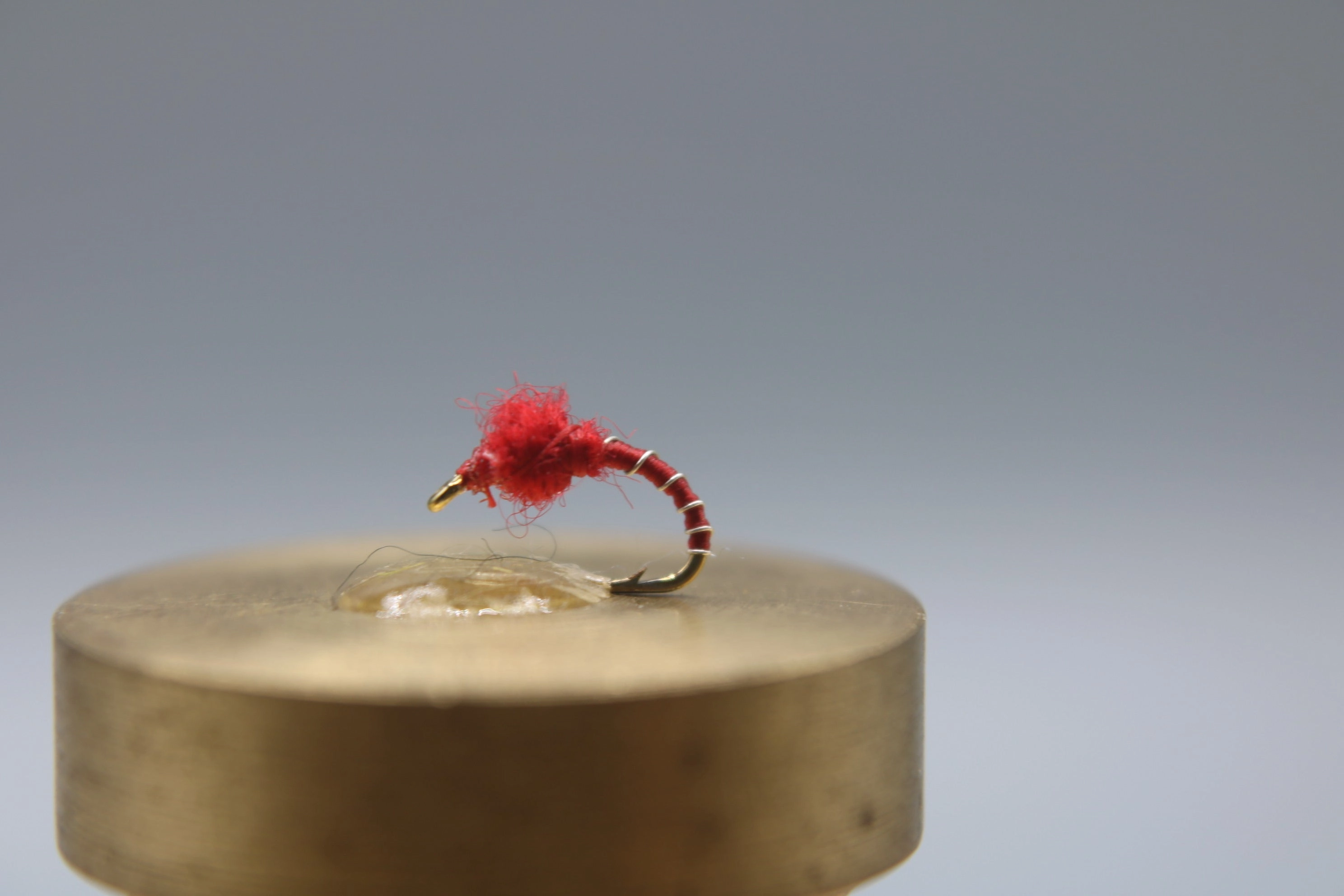Zebra Midge