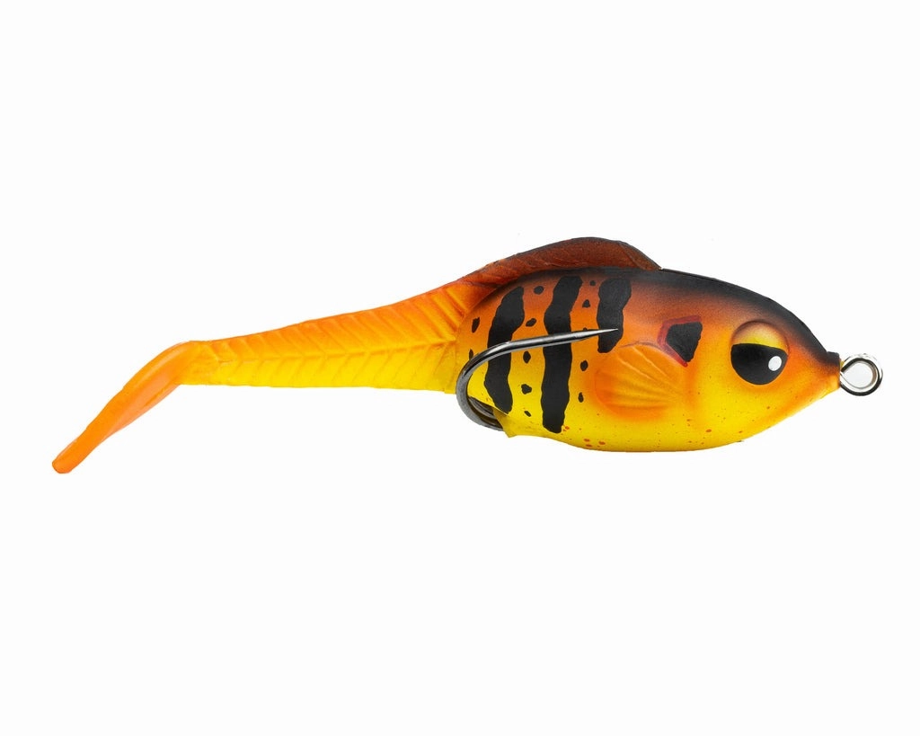 Zoo Wake Topwater Lure - (1/2 oz.)