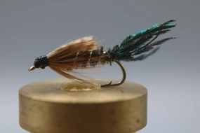 Zug Bug