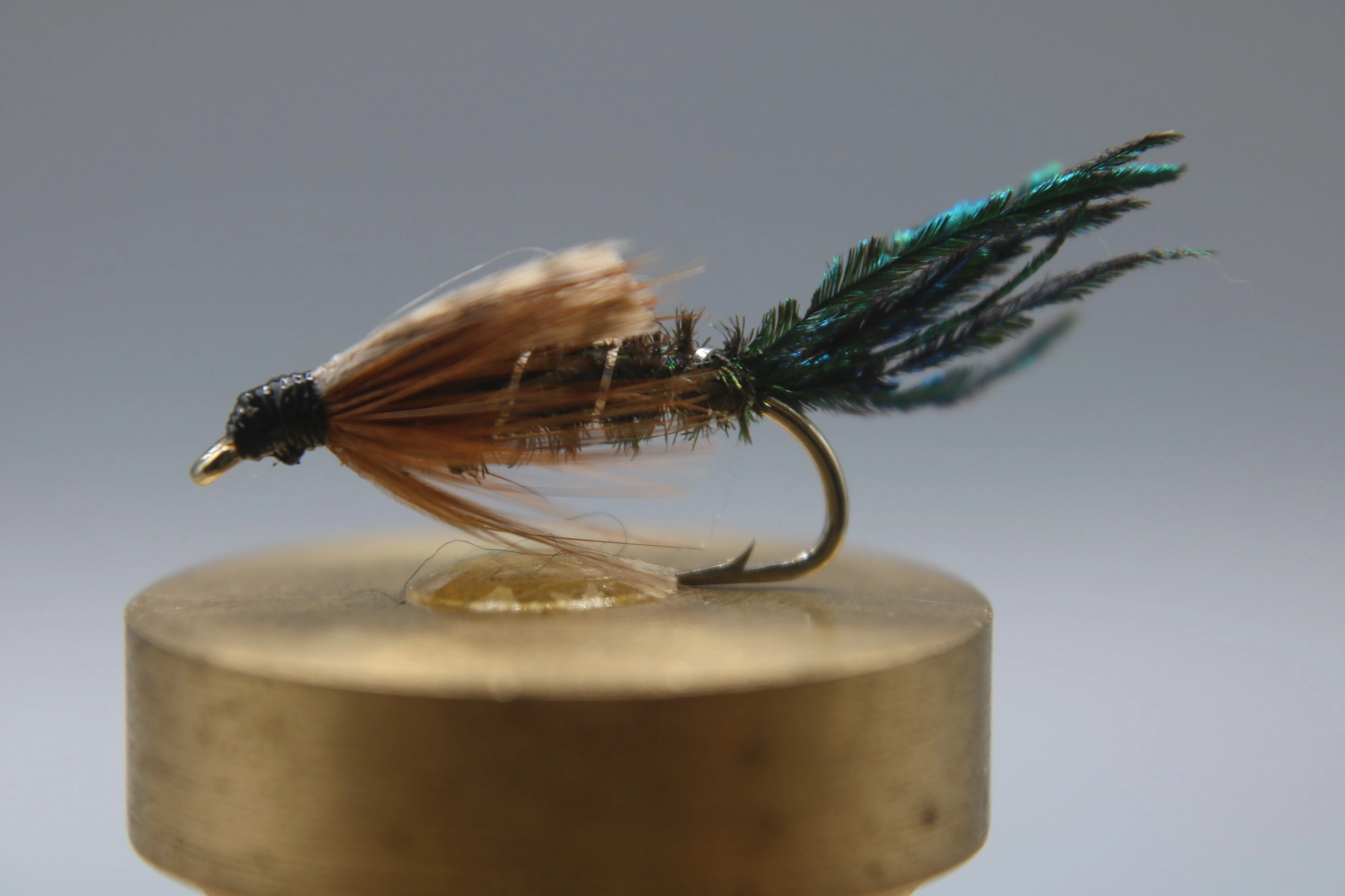 Zug Bug